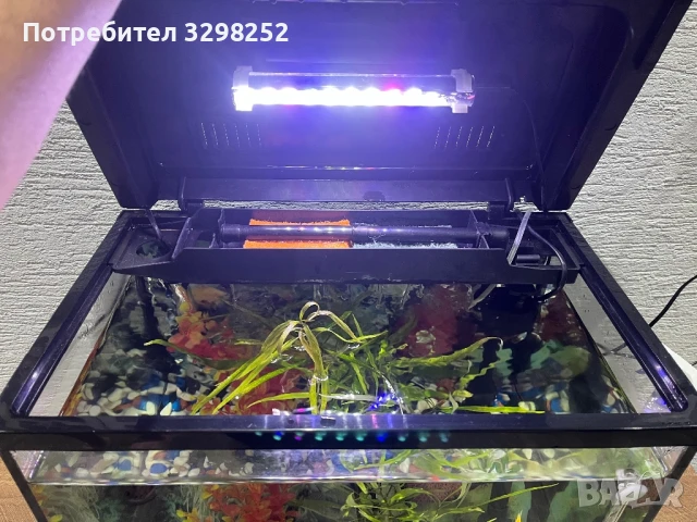 Аквариум, снимка 10 - Оборудване за аквариуми - 50885634