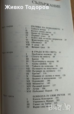 Палитра и кръв (Животът на Караваджо) - Милош Кочка, снимка 5 - Художествена литература - 45959420