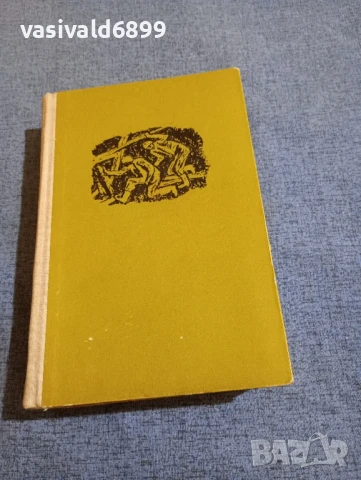Дайсън Картър - Синове без бащи, снимка 2 - Художествена литература - 50914417