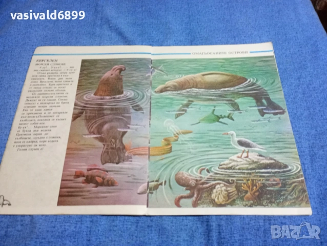 Святослав Сахарнов - Омагьосаните острови , снимка 6 - Детски книжки - 53688984