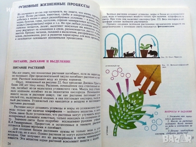 Природоведение 5. класс - 1986г.Издателство "Народна Просвета", снимка 4 - Учебници, учебни тетрадки - 52930038