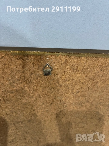 Картина с карта на света и на Европа, 2 бр., снимка 10 - Картини - 53395679