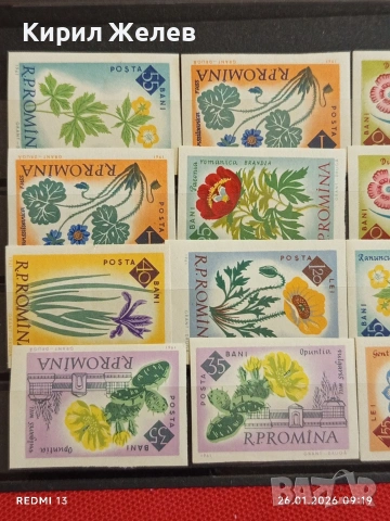 Стари пощенски марки без печат ЦВЕТЯ РУМЪНИЯ за КОЛЕКЦИЯ ДЕКОРАЦИЯ 52020, снимка 2 - Филателия - 53227487