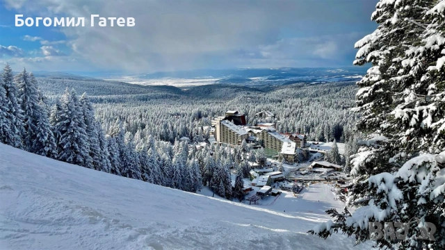 Търся си работа