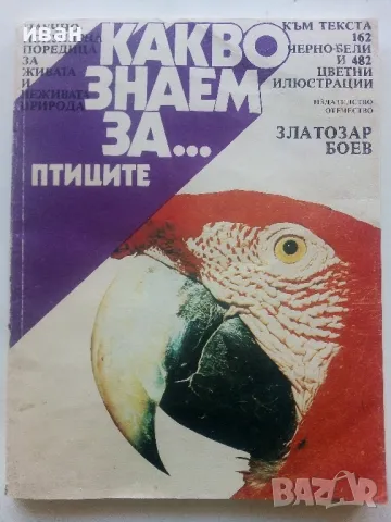 Какво знаем за...Птиците - Златозар Боев - 1990г., снимка 1 - Енциклопедии, справочници - 47910388