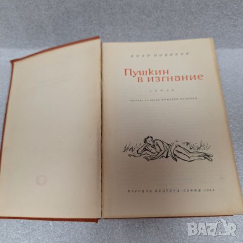 Стара Книга: "Пушкин в изгнание" от Иван Новиков, 1963 год., снимка 1 - Енциклопедии, справочници - 46430797