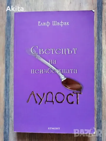 "Светецът на неизбежната лудост "- Елиф Шафак , снимка 1 - Художествена литература - 49059134