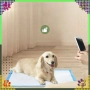 Хигиенни подложки за кучета XL 40x60 - супер абсорбция, снимка 10