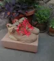 Air Jordan 6 Travis Scott, снимка 1