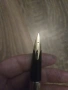 Pilot Silvern Turtles 14k Gold nib Fountain pen, снимка 4