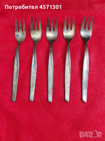  Сребърни Вилици, снимка 1