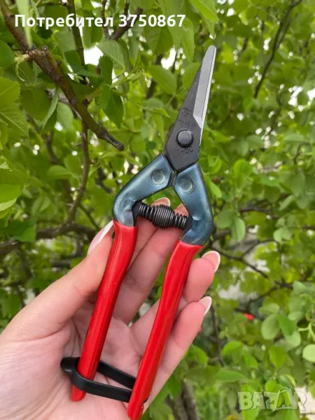 ЯПОНСКА НОЖИЦА 175мм Chikamasa T-5C red, снимка 1