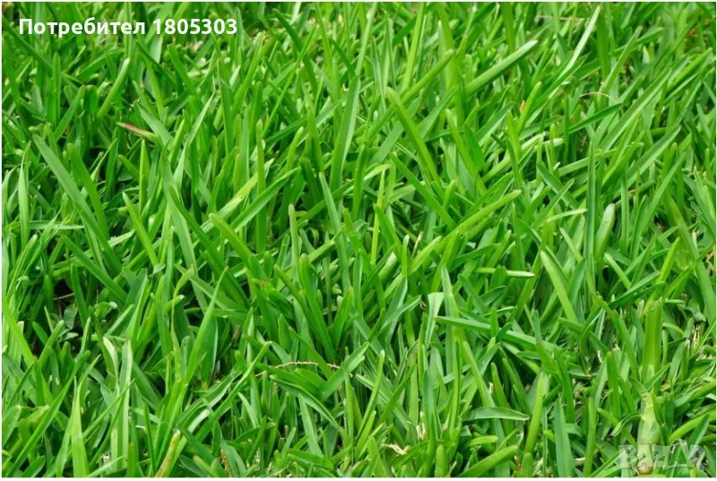 Работа от дома, снимка 1