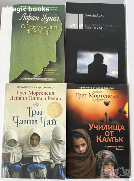 Три чаши чай, Училища от камък, Обезумелият философ, снимка 1