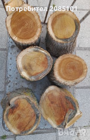 Черничево дърво пънчета, снимка 1 - Други стоки за дома - 45779700