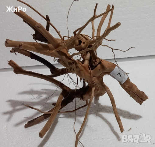 Корен от Азалия /декорация/ 7