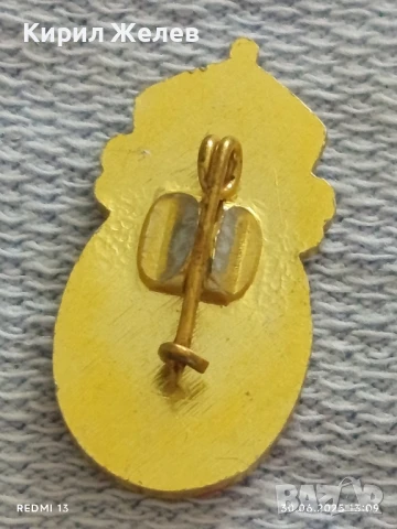 Патриотична царска значка с емайл рядка перфектно състояние за КОЛЕКЦИОНЕРИ 25608, снимка 4 - Колекции - 50847384