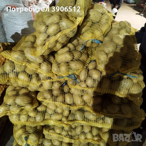 Самоковски картофи, снимка 3 - Други - 54136612