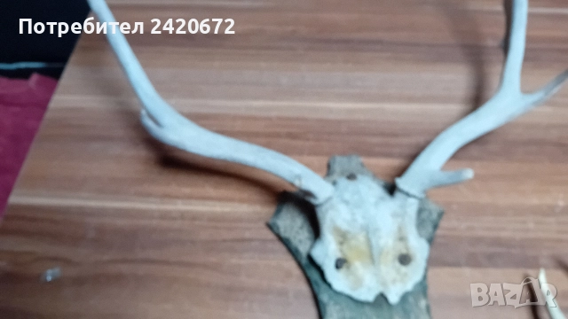 за декор, снимка 4 - Декорация за дома - 52823575