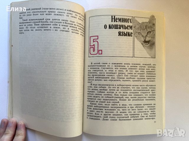 Кошка в вашем доме - Николай Непомнащий, снимка 6 - Енциклопедии, справочници - 45771027