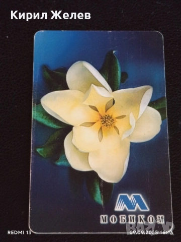 Четири фонокарти БУЛ ФОН, МОБИКОМ тема ЦВЕТЯ много красиви за КОЛЕКЦИЯ ДЕКОРАЦИЯ 50847, снимка 5 - Колекции - 51655605