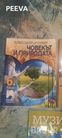 Учедници за 6 клас., снимка 3 - Учебници, учебни тетрадки - 46445800