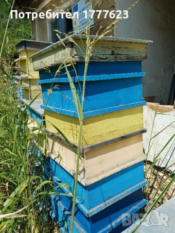 Сандъци за кошери, снимка 2 - За пчели - 51412024