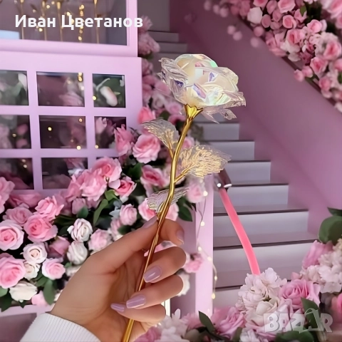 Роза в цветовете на дъгата – изискан подарък за любов и благодарност