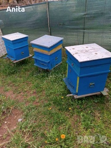 Продавам пчелни семейства, снимка 2 - За пчели - 54083448
