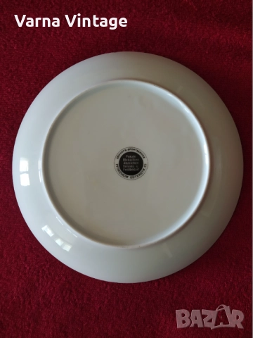 Колекционерска порцеланова чиния 14.IVV Wandertage 1990 Ruppberg. Pforzheim Германия., снимка 3 - Колекции - 51641008