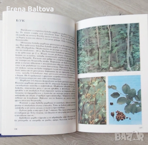 🍃💜   Албум за растения и животни  299стр. 1976г, снимка 2 - Други - 53912262
