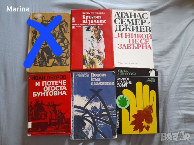 книги, снимка 8 - Художествена литература - 46198374