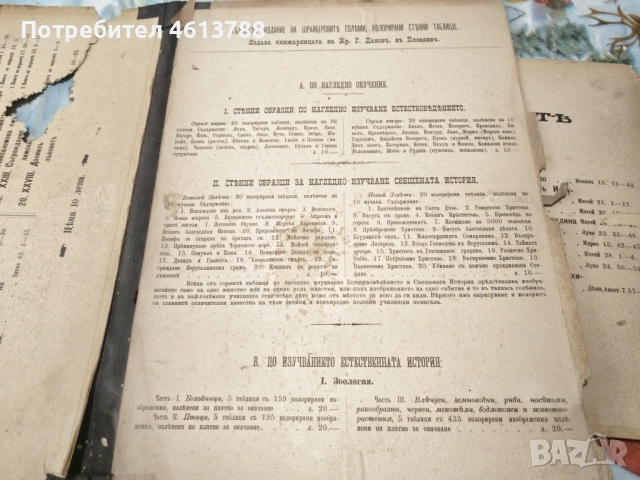 Стари илюстрации на Вехти Завет, снимка 7 - Антикварни и старинни предмети - 52431376