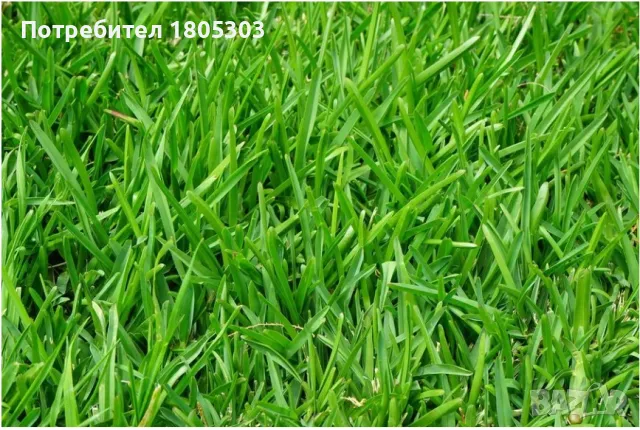 Работа от дома, снимка 1