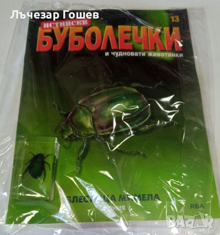 Истински буболечки БРОЙ 13 - БЛЕСТЯЩА МИМЕЛА, снимка 1 - Енциклопедии, справочници - 46594196