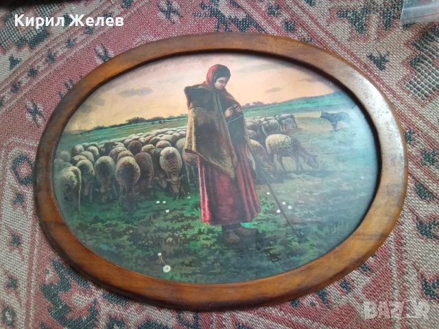 Картина на овчарка 53683