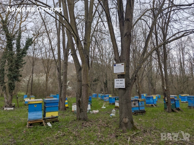 Продава се напълно оборудван пчелин, снимка 6 - За пчели - 54099773