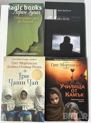 Три чаши чай, Училища от камък, Обезумелият философ