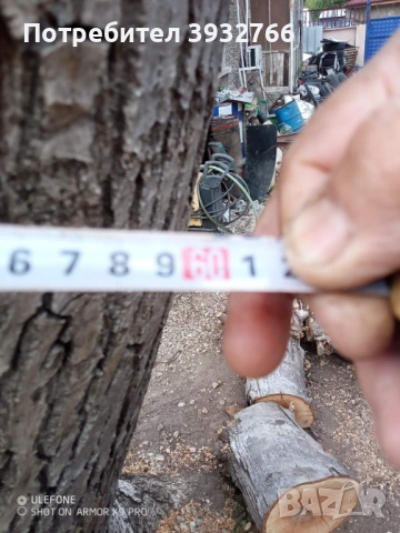 Дървесина от орех, снимка 2 - Строителни материали - 53933856