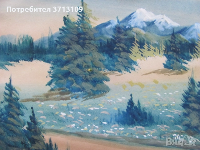 Картина смесена техника, Иван Ботушаров , подпис 40х30 см., снимка 7 - Картини - 51521969