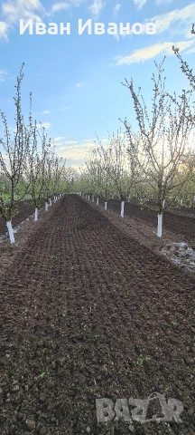 Rabe MKE 300 активна брана , снимка 2 - Селскостопанска техника - 54012081