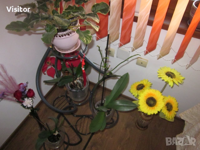 Canon PowerShot A1200  -  12.1мРх, снимка 12 - Фотоапарати - 54298934