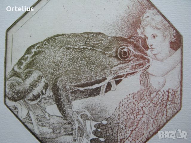 Цветна Графика Екслибрис гравюра целувка с жабата принц Голо Тяло, снимка 1