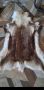 Кожа от северен елен, снимка 1 - Декорация за дома - 45871089