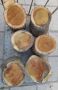 Черничево дърво пънчета, снимка 1 - Други стоки за дома - 45779700