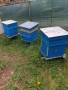 Продавам пчелни семейства, снимка 2