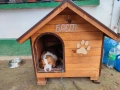 Кучешка къща, кучешка колиба, къща за куче, колиба за куче, снимка 5