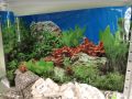 Фон за аквариуми за риби - 4 вида & размери, снимка 1 - Оборудване за аквариуми - 45074936