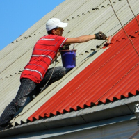 Боядисване на покриви и други, снимка 3 - Ремонти на покриви - 44988288