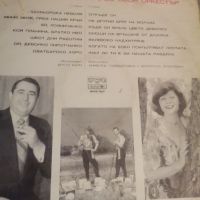 Голями грамофонни плочи със Сръбска музика , снимка 7 - Грамофонни плочи - 45366704